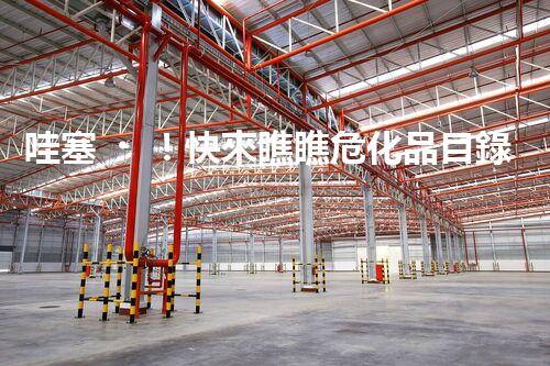 哇塞！快來瞧瞧危化品目錄2024有啥新變化
